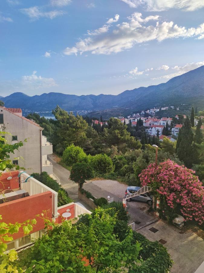 Villa Kipre Cavtat Bagian luar foto