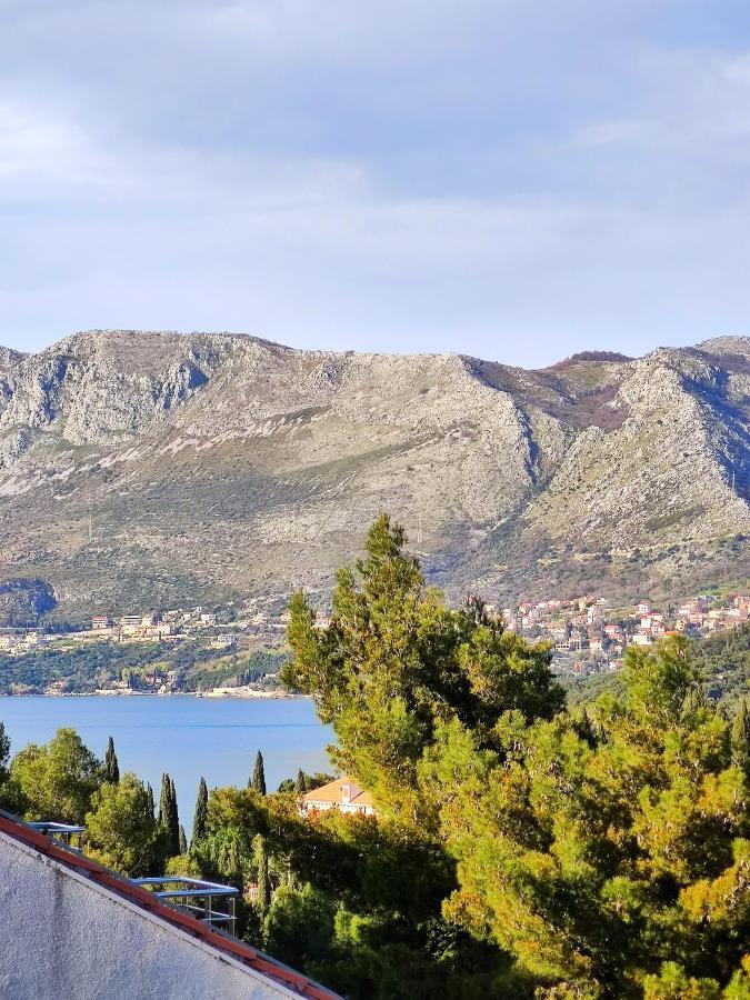 Villa Kipre Cavtat Bagian luar foto