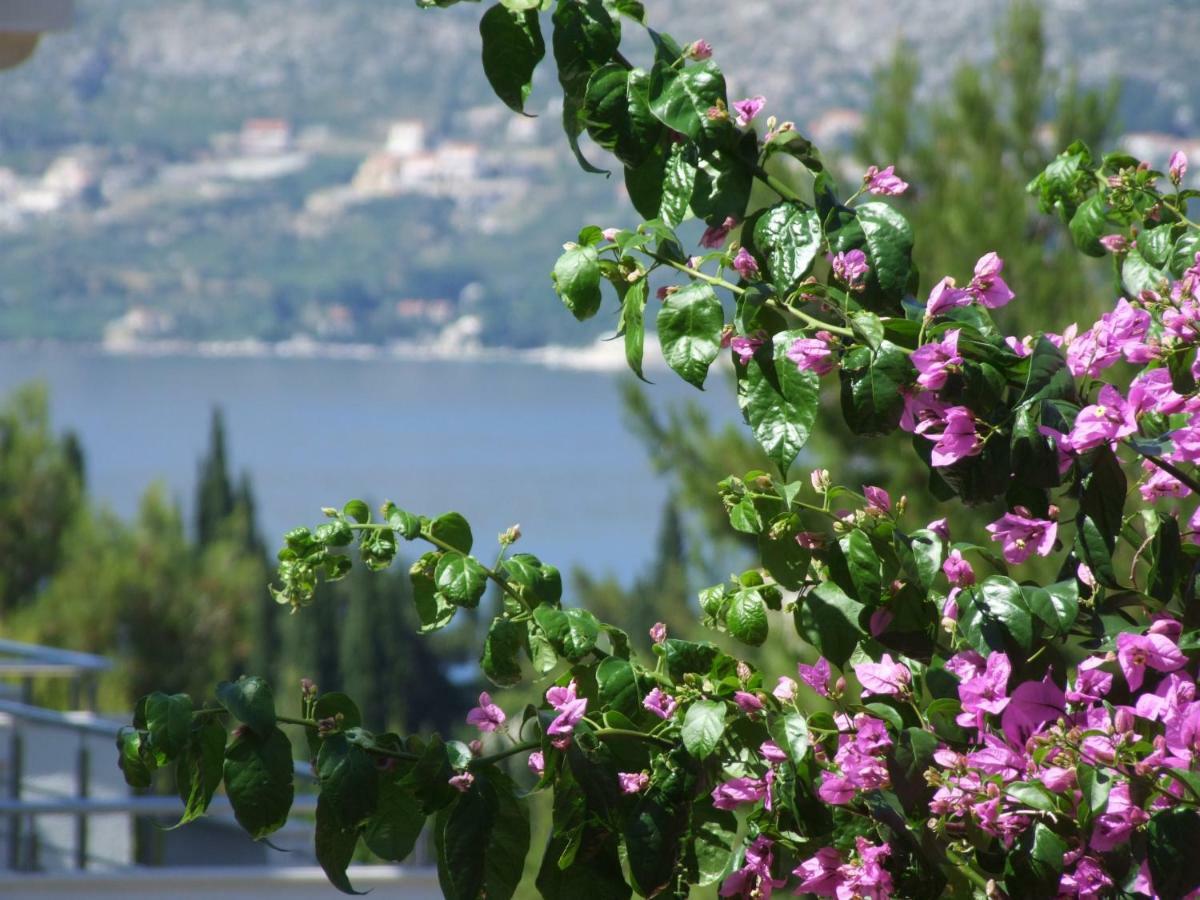 Villa Kipre Cavtat Bagian luar foto