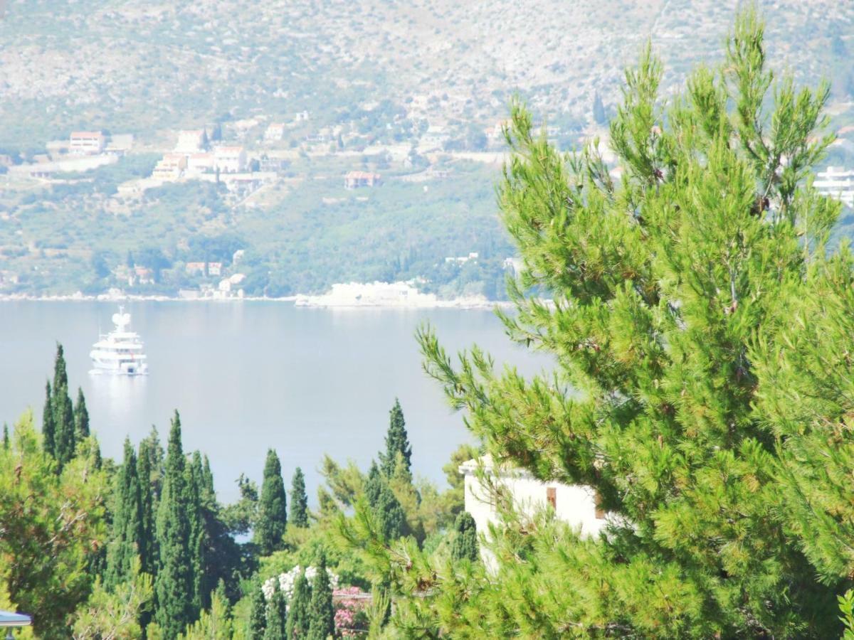 Villa Kipre Cavtat Bagian luar foto